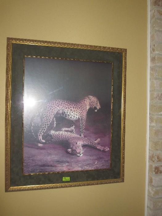 Framed cheetahs