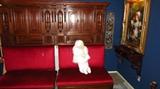 Antique German / European hand carved furniture