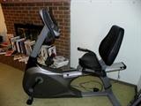 Recumbent Bike