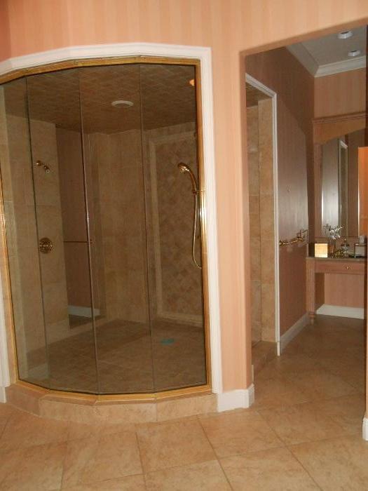 Shower glass panels and controls are for sale