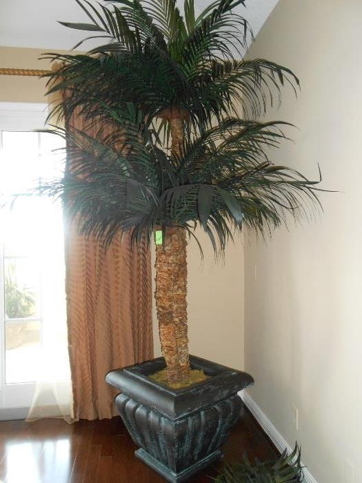 This is a preserved Palm tree. Not silk, not false!