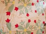 Applique Quilt Top