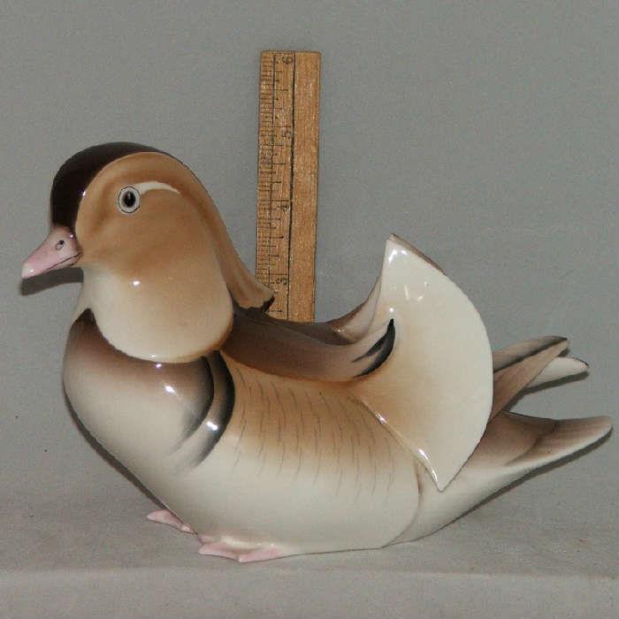 Beautiful Nippon Duck