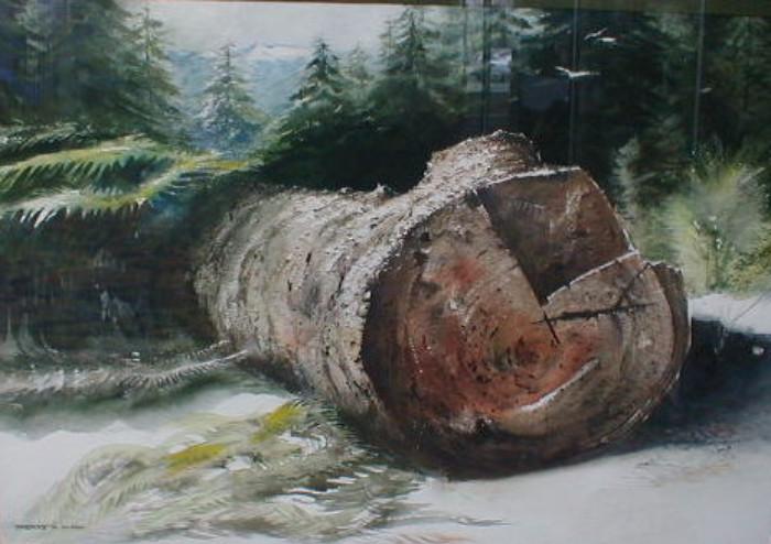 Thomas A Olson Watercolor "Olympic Timber"