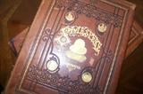Pair of large, leather Shakespere books with many beautiful steel engravings
