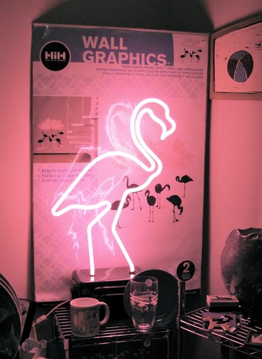 Fabulous neon flamingo