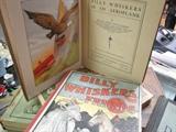 Vintage Billy Whiskers Children's books
