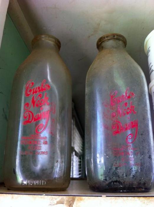 Vintage Curles Neck Dairy bottles
