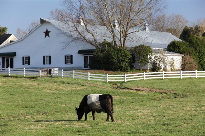 Lovely Fearrington Village