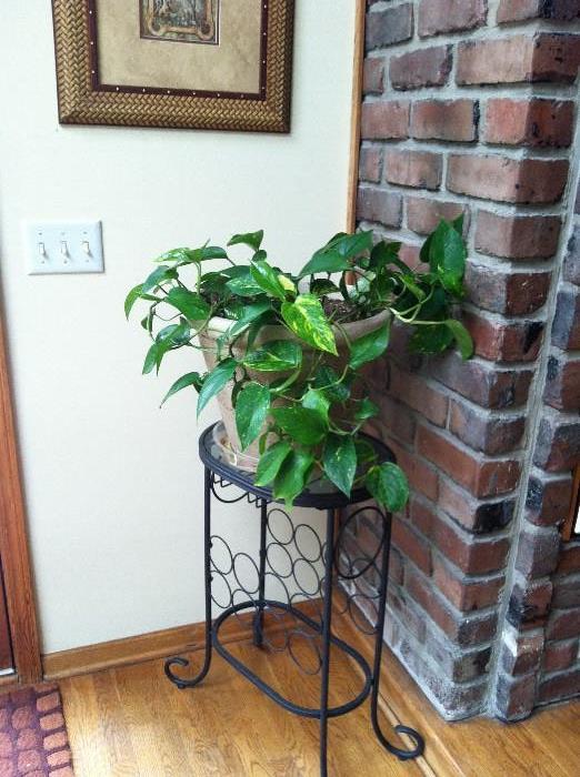 Iron stand, pots with foliage