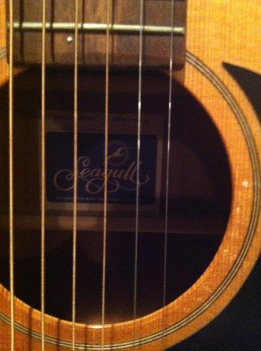 Seagull guitar model 6 series #65900