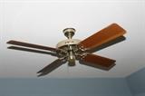 ceiling fan