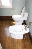 bidet and toilet 