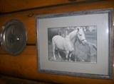 FRAMED PHOTO OF HORSE, PEWTER HORSE PLATE