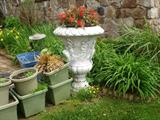 outside vases