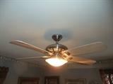 Ceiling Fan w/light
