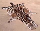 zebra hide, rug or wall hanging