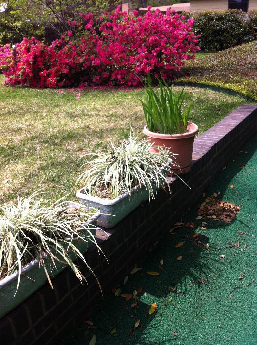                                       patio planters