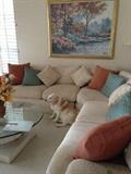 Off White Sectional Sofa, Picture, Glass Coffee Table