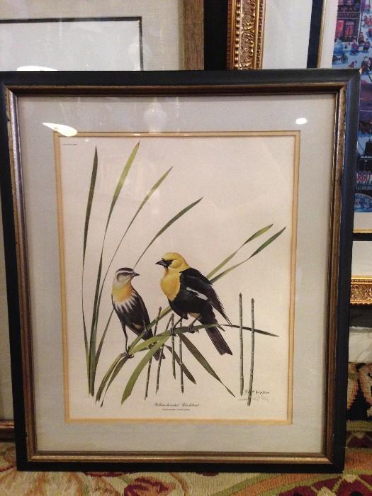 Framed Bird Art