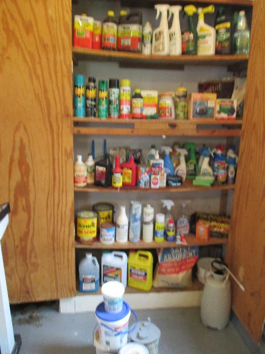 Assorted cleaning products and chemical items