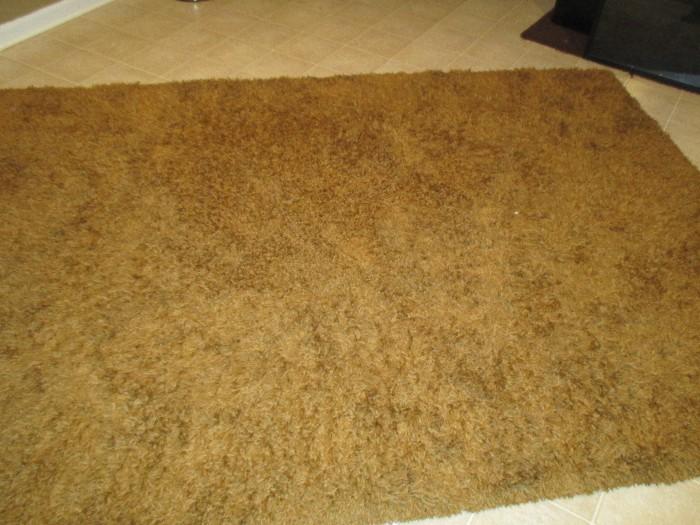 6' x 9' shag carpet
