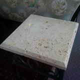 Coral Fossil Stone End Table