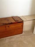 Storage Trunks