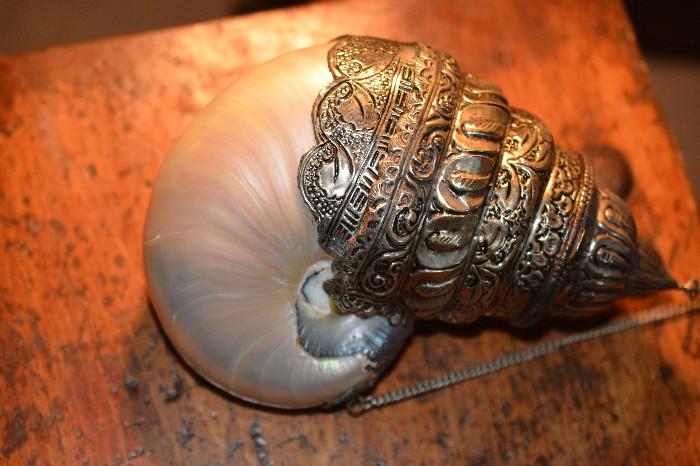 Gorgeous nautilus shell purse - perfect!