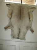 RAINDEER, CARIBOU RUG, WALL HANGING, LARGE