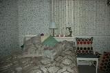 Nice comforter, Various Decorator Pillows
