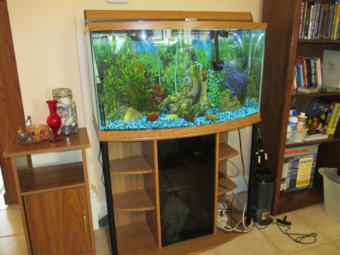 37 Gallon Aquarium, Stand, Plants, Fish, Rocks, and Pump Will Be Sold Together.  