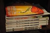 Calvin and Hobbes books