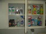 Lots of cleaning supplies