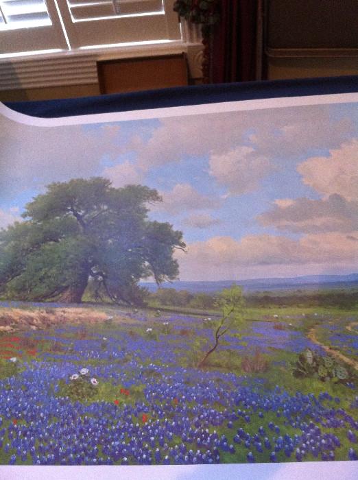 Salinas print of bluebonnets
