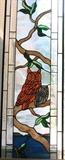 Owl Stained Glass