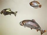 Aluminum Fish