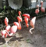 Flamingo Yard Art