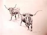 Excellent limited edition Print 9 / 250, entitled "Spooked" depicting two Longhorn Cattle alerted by something.  Print is signed by listed artist Bob Dale