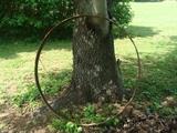 Antique Wagon Wheel Rim 43"