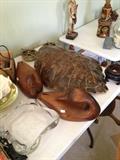 REAL TORTOISE SHELL AND DECOYS