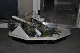 This is a coffee table aquarium.