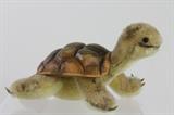 Lot#:	148
Description:	Genuine Steiff Toy Turtle w/ Tag
An adorable little Austrian Steiff toy stuffed turtle with a rubber back shell and its original yellow and brass button tag in place. It features a blondish body with dark spots on its face and limbs. Toy is in good condition. Measures 2.5" tall x 5.25" long.
From the internet: Richard Steiff (February 7, 1877 – March 30, 1939) was a German inventor and entrepreneur. The nephew of the toymaker Margarete Steiff, he is credited with the designing the Steiff Company's first toy bear. At its debut at the Leipzig Toy Fair in 1903, the bear initially attracted little attention, but its fortunes were saved when an American buyer snapped up the entire lot of 100 bears and ordered another 3,000 just before the exhibition finished. The heyday of the Steiff company thus began.
Tag Words: animal, animals, toys
Additional Steiff in lot #s 148, 202, and 337
ZB6312 