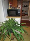 Artificial Plants. Microwave Oven.