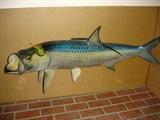 Tarpon