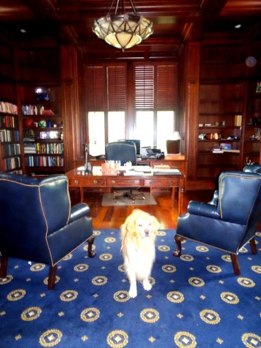 Woof !  Our pal the retriever named "Reagan" in the office.  A shout out to our new furry friends Lottie and Sadie too !  NOT FOR SALE, of course.