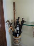Walking Sticks and umbrellas