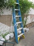 WERNER LADDER
