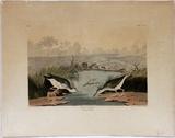 Lot#2058, J.J. AUDUBON, HAVELL  EDITION ENGRAVING/ETCHING/AQUATINT, H 14 3/4", W 21 1/4", "SPOTTED SANDPIPER"//Depicts two sandpiper drinking from a stream; hand colored ;1836; Plate CCCX; No. 62; above size is the plate size; 14 3/4" x 21 1/4" plate size; 22" x 28" paper size; dry mounted; framed.