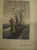 Signed Etching Unknown Signature